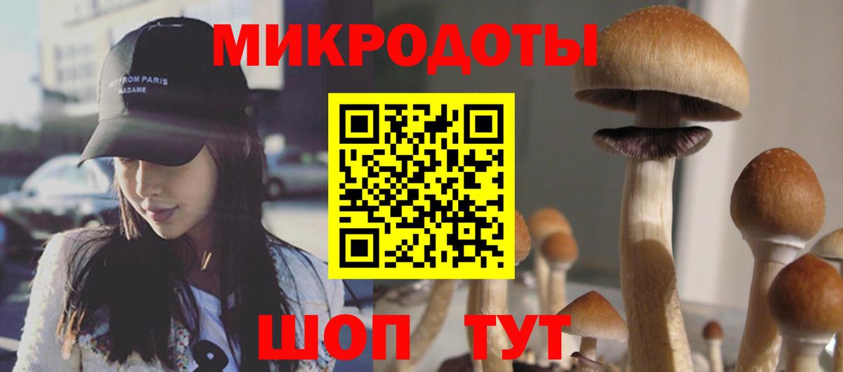 Псилоцибиновые грибы Psilocybine cubensis Верхняя Салда